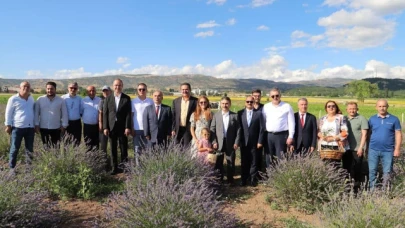 Lavanta Hasat Şenliği Gerçekleştirildi