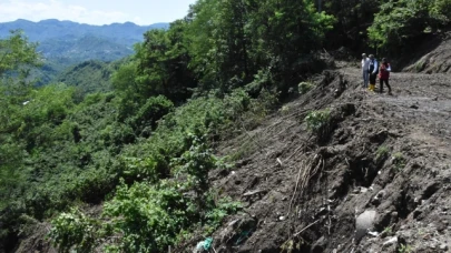 Ordu'da heyelanlardan zarar gören fındık bahçelerinde hasar tespiti başladı