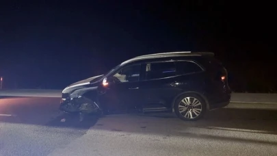 3 otomobilin çarptığı büyükbaş hayvan telef oldu
