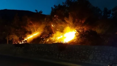 Amasya'da çıkan yangın itfaiye ekiplerince söndürüldü