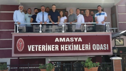 Amasya'da veterinerler şiddete karşı bir araya geldi