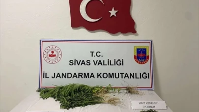 Kenevir Yetiştiricisi Yakalandı