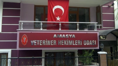 Veteriner Hekimler Sağlıkta Şiddet Yasası'na Dahil Olmak İstiyor