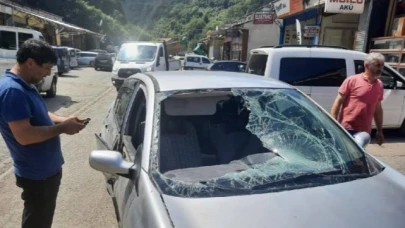 Yaylaya inen ayı park halindeki otomobili kullanılamaz hale getirdi.