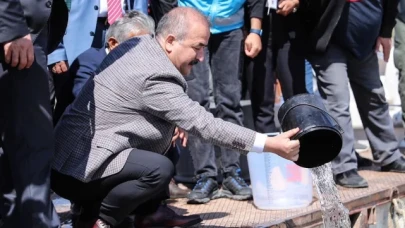 800 bin yavru sazan balığı suyla buluşturuldu