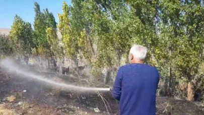 Alaca'da anız yangını