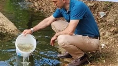 Amasya'da üretilen yavru sazanlar Trabzon'da göllere bırakıldı