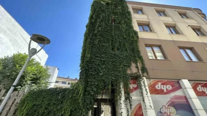 Apartmanı saran sarmaşıklar dikkat çekiyor