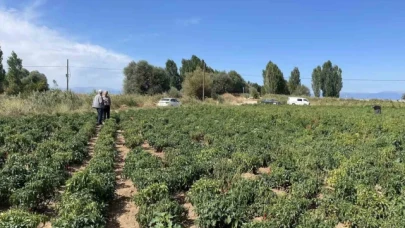 Beyşehir'de çiftçiler ürün zararlılarına karşı bilgilendiriliyor