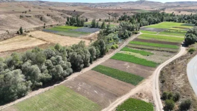 Bozkırı ektiği sebzelerle yeşertti