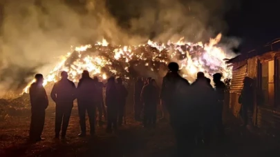 Çankırı'da 6 bin saman balyası küle döndü
