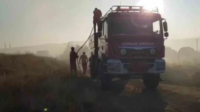 Çorum'da 15 bin dönüm arazi küle döndü