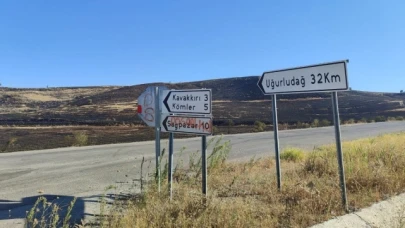 Çorum'da anız yangını: Yüzlerce dönüm alan zarar gördü