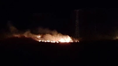 Çorum'da anız yangını: Yüzlerce dönüm alan zarar gördü