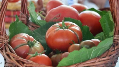 En lezzetli domatesi ve höşmerimi seçtiler