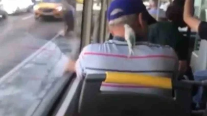 Ensesine konan muhabbet kuşuyla böyle seyahat etti