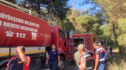 Erzin'de çıkan orman yangını söndürüldü