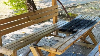 Gediz'de kamelyalara zarar veren kişi veya kişiler tepki