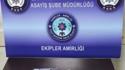 Huzur uygulamasında 10 silah ele geçirildi