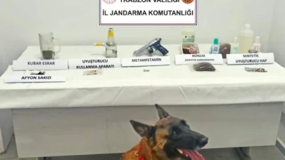 Jandarma narkotik köpeği 'Limon' ilk operasyonunda tespit etti
