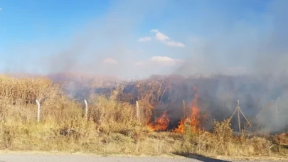 Kazı alanında korkutan yangın
