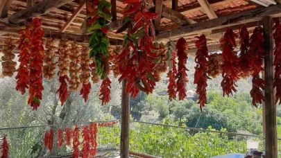 Muğla'da kış hazırlığı renkli görüntüler oluşturdu