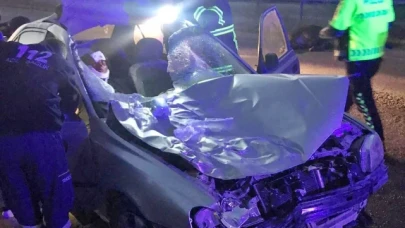 Otomobil büyükbaş hayvanlara çarptı: 2 yaralı