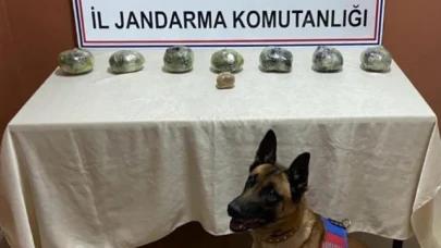 Siirt'te peynir bidonuna gizlenmiş uyuşturucu ele geçirildi