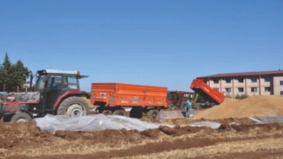 TMO Gümüşhacıköy'de 22 bin ton hububat alımı yaptı