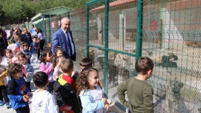 Amasya Belediyesi hayvan barınağına veteriner hekimler odası başkanından tam puan: "Gezerken gurur duyuyorum"