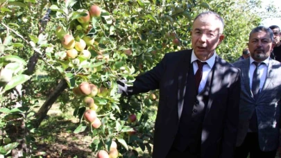 Amasya Valiliği elma için özel projeler planlayacak