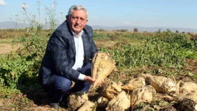Çiftçi pancar şekeri fiyatından memnun değil