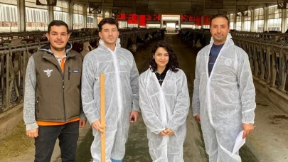 Sınıflandırma Çalışmaları Devam Ediyor