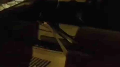 Takla atan otomobilde 4 kişi yaralandı