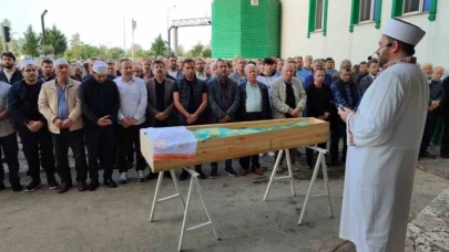Yaşlı adam arı sokması sonucu hayatını kaybetti
