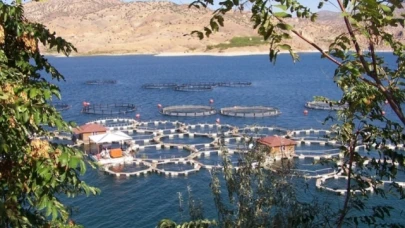 BALIK ÜRETİM İŞİ HİZMET ALIMI