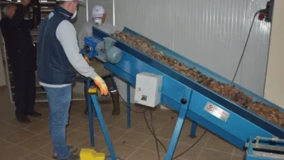 KOZOLAKTAN TOHUM ÇIKARMA TAMBURU YAPIM İŞİ