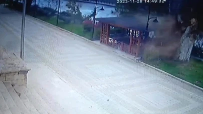 Amasya'da fırtına asırlık çınarı devirdi