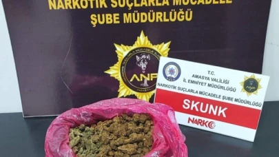 Amasya'da polisten uyuşturucu operasyonları: 9 gözaltı