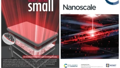 Bilimsel makaleler "Nanoscale" ve "Small-Wiley" dergilerinde kapak oldu