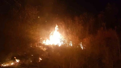 Boş arazide çıkan örtü yangını itfaiye tarafından söndürüldü