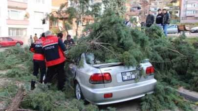 Fırtınada üstüne ağaç devrilen otomobildeki 3 genci baltayla kurtardı