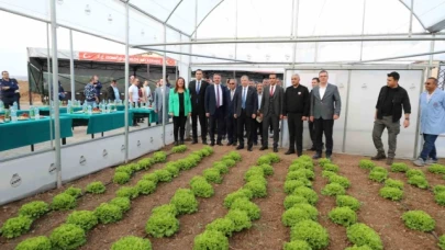 Gümüşhacıköy'de hükümlüler cezaevinde sebze yetiştirecek