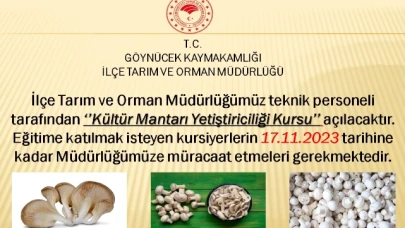 Kültür Mantarı Yetiştiriciliği Kursu Açılacak