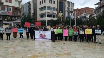 Merzifon Kadın Platformu, "İstanbul Sözleşmesinden vazgeçmiyoruz!"