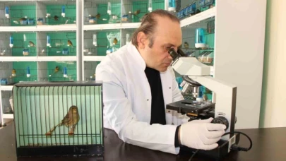 Nesli tükenme tehlikesindeki yabani ispinoz kuşları korumaya yönelik projeye destek