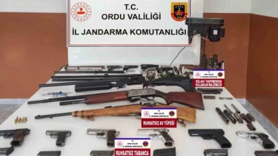 Ordu'da silah ve mühimmat kaçakçılığı operasyonu: 1 tutuklu