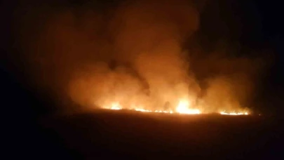 Son 2 ayda 400'e yakın anız yangını çıktı