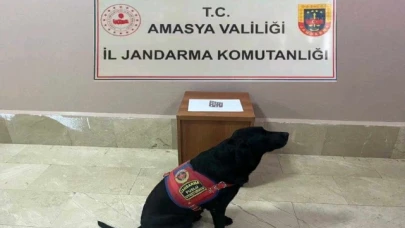 Taşova’da 7 adet sentetik ecza hap ele geçirildi