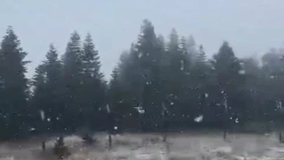 Yüksek kesimlerde kar yağışı etkili oldu